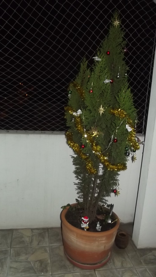 DSCF1119